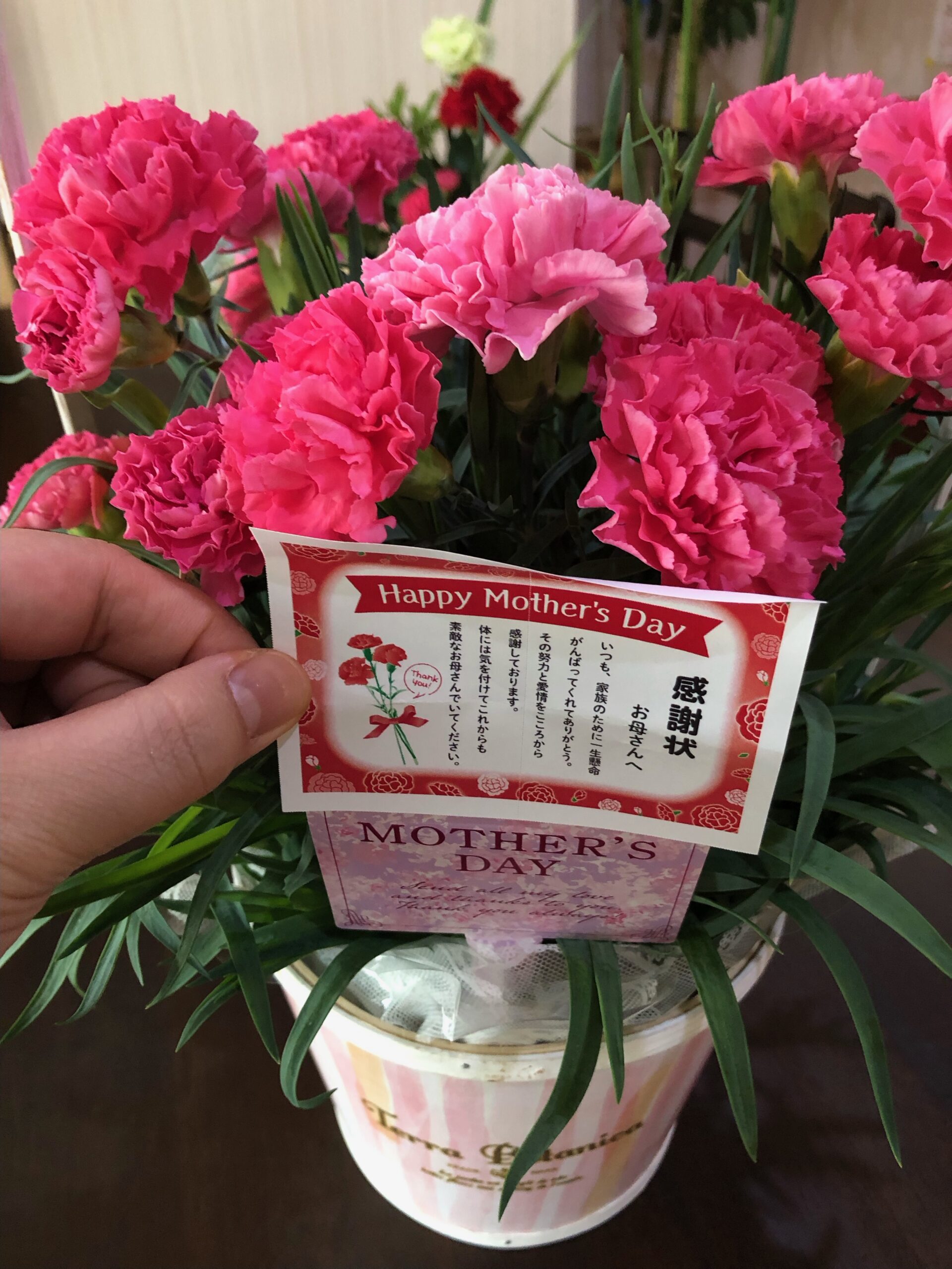 母の日🌷
