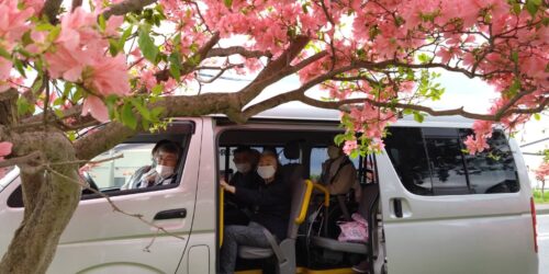 つつじ祭り🌸🍦