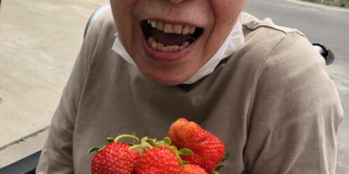 🍓食べ放題🍓