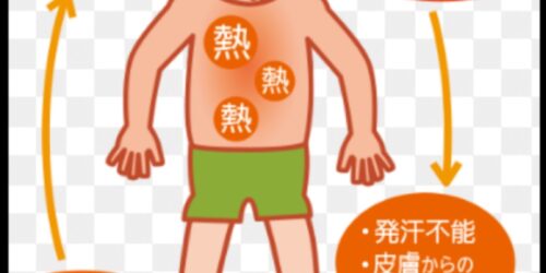 熱中症・脱水予防🌞