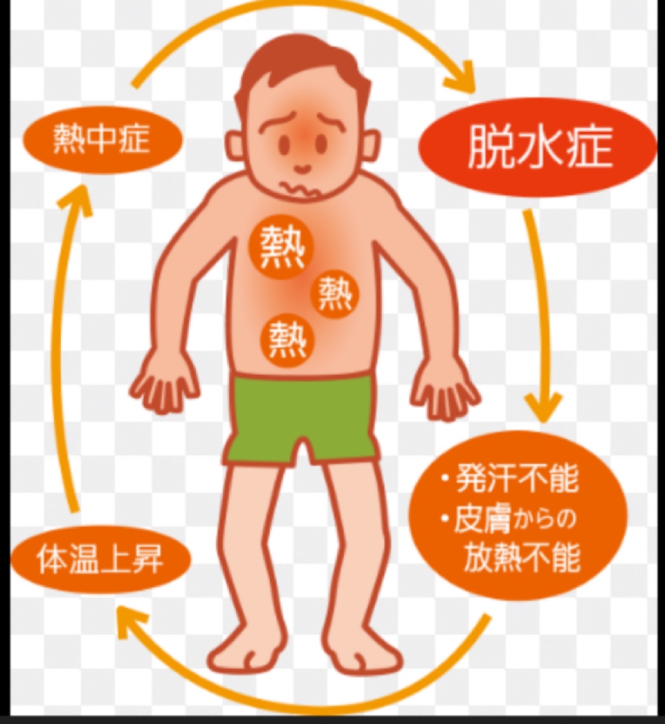 熱中症・脱水予防🌞
