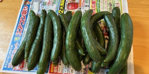 🥒あと何本？
