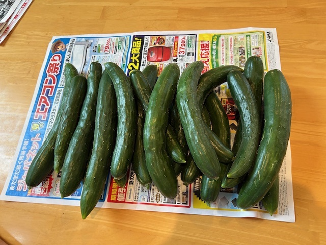 🥒あと何本？
