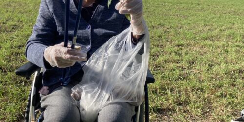 今年最後の‥‥🌰拾い
