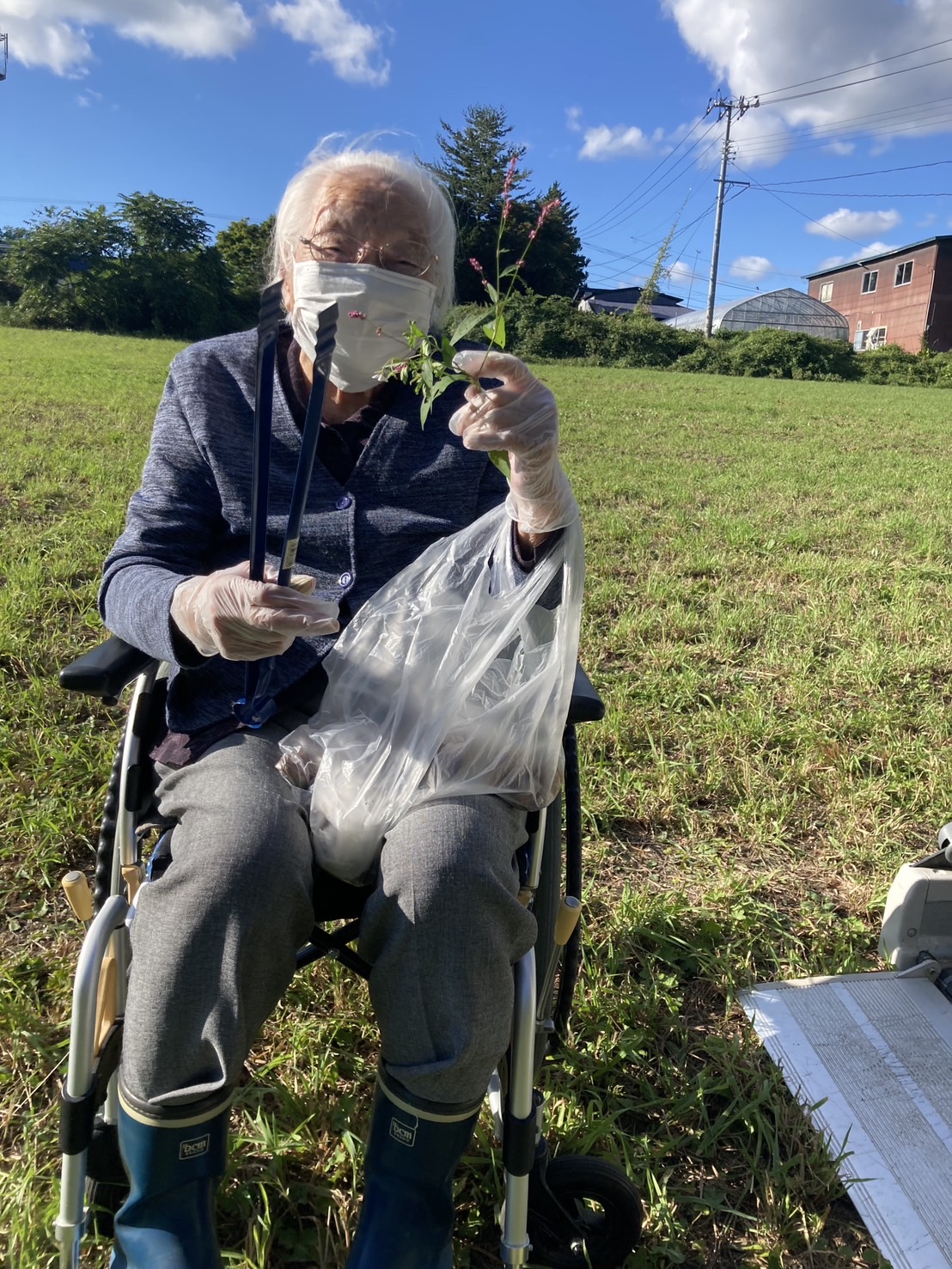 今年最後の‥‥🌰拾い
