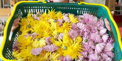 季節のもの🍴🎵