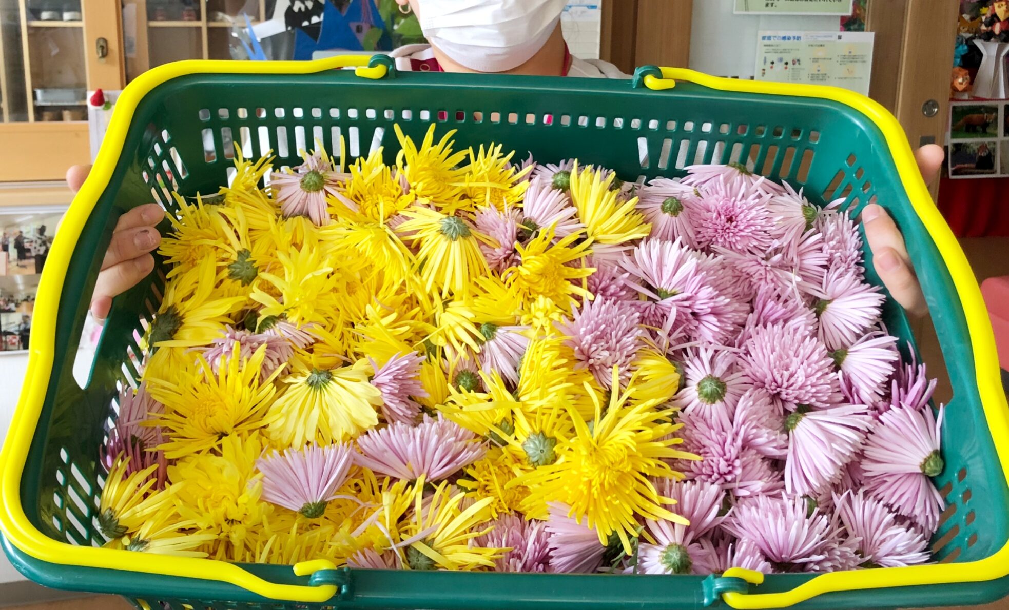 季節のもの🍴🎵