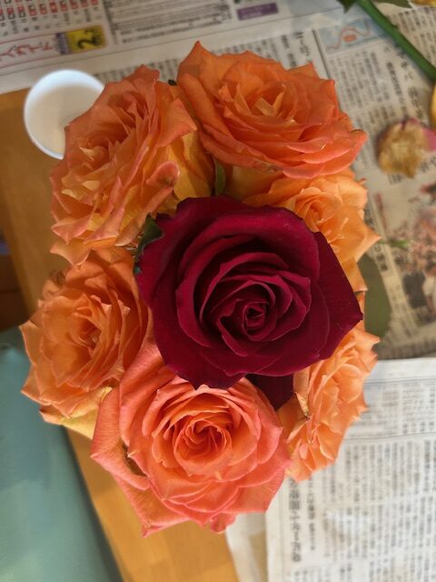 色とりどりの薔薇とクリスマスツリー