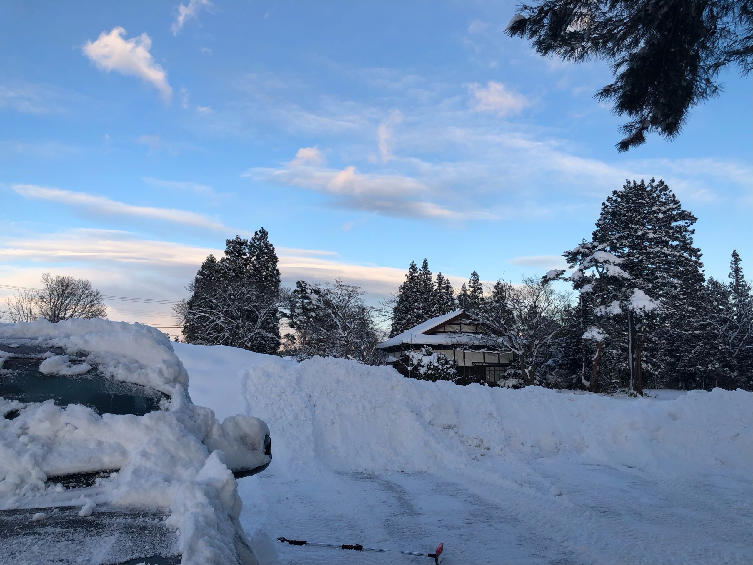 2月になりました⛄