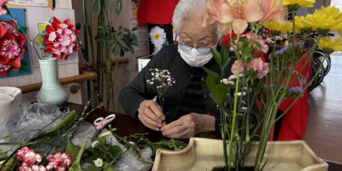 今日のお花～🌸